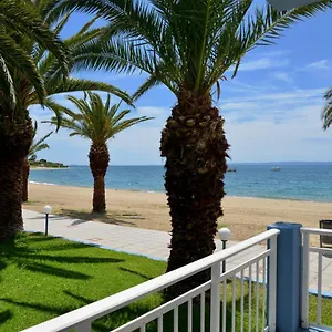 https://olympion-beach-hotel.hotelschalkidiki.net